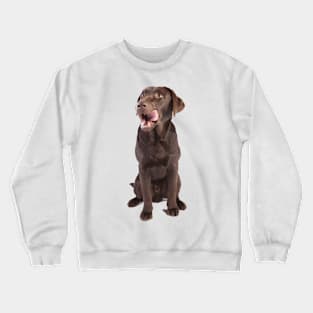 Image: Dog sitting (brown) Crewneck Sweatshirt